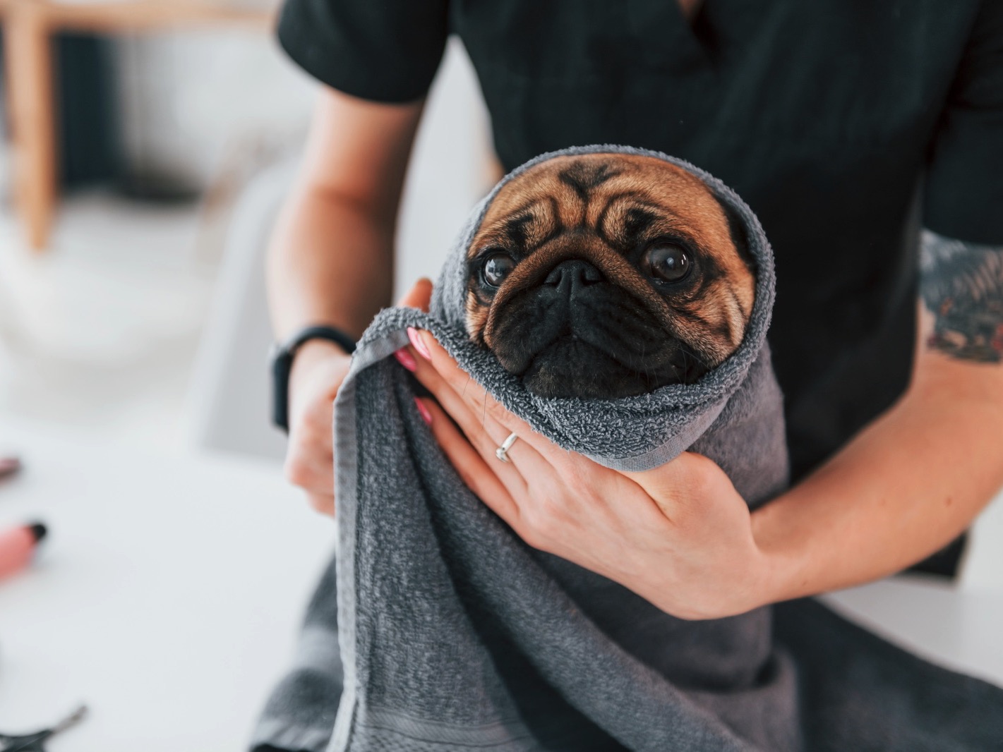 mopsz betegségek listája